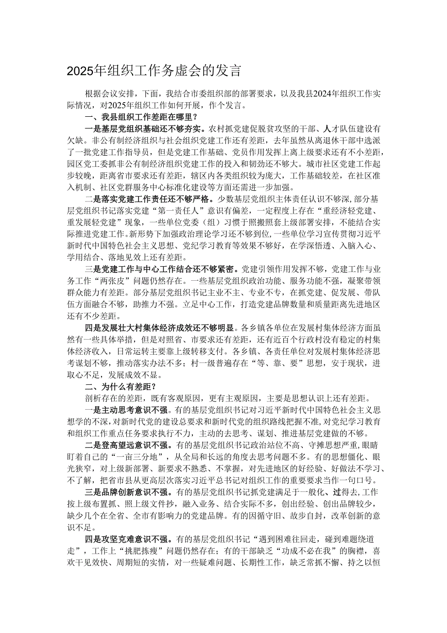 2025年组织工作务虚会的发言.docx_第1页