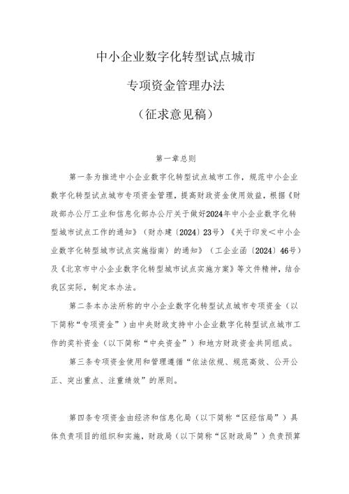 中小企业数字化转型试点城市专项资金管理办法（征求意见稿）.docx