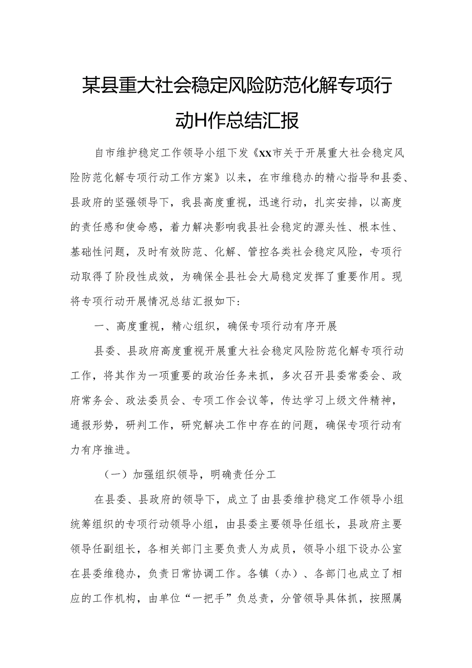 某县重大社会稳定风险防范化解专项行动工作总结汇1.docx_第1页