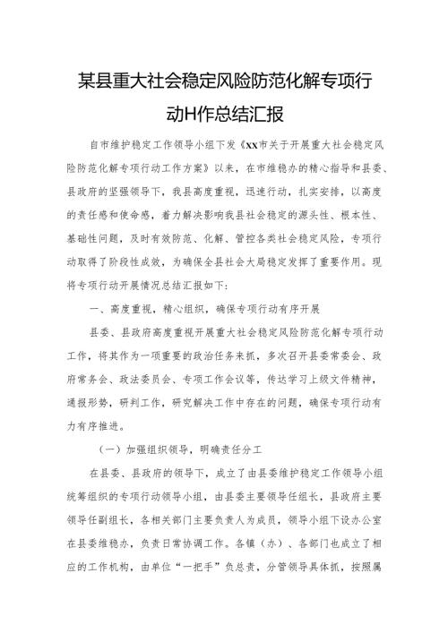 某县重大社会稳定风险防范化解专项行动工作总结汇1.docx