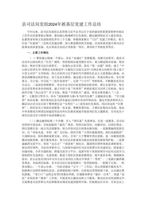 县司法局党组2024年抓基层党建工作总结.docx