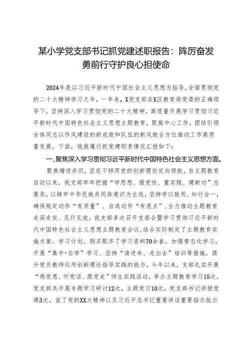 某小学党支部书记抓党建述职报告：踔厉奋发勇前行守护良心担使命.docx