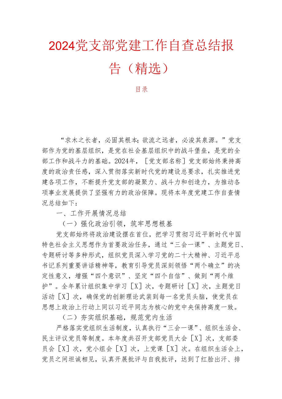 2024党支部党建工作自查总结报告（精选）.docx_第1页