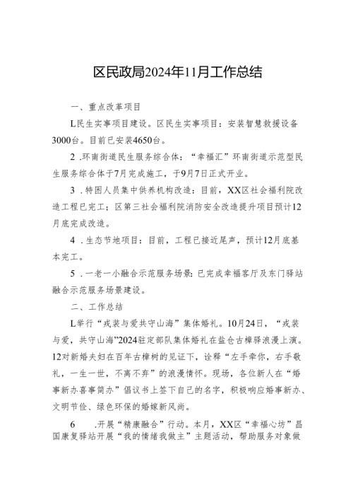区民政局2024年11月工作总结.docx