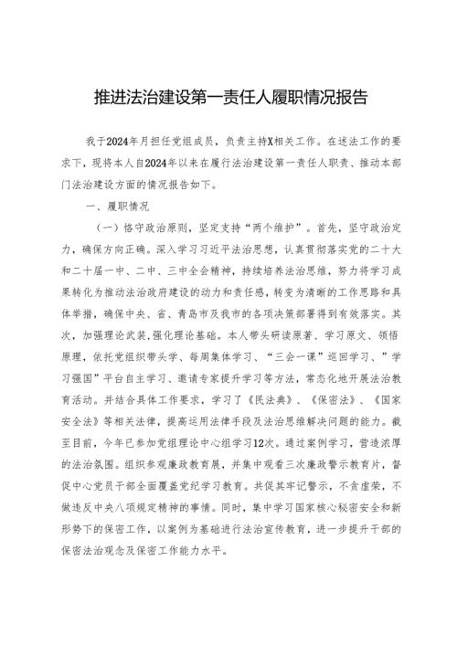 党组负责人推进法治建设第一责任人履职情况报告.docx