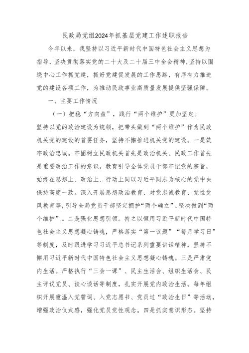 民政局党组2024年抓基层党建工作述职报告.docx