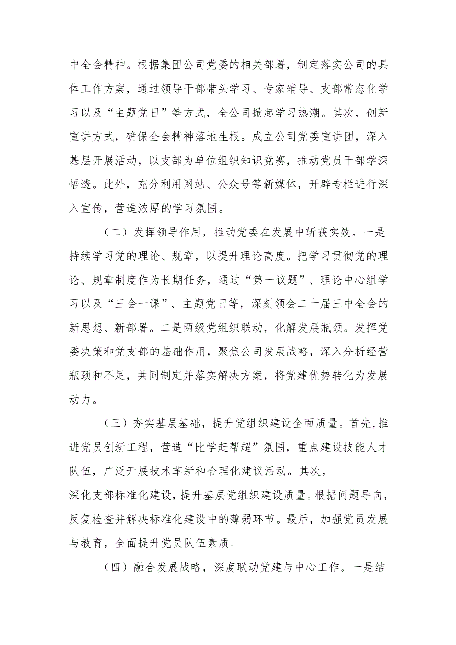 国企公司2024年党建工作总结和2025年工作计划范文.docx_第3页