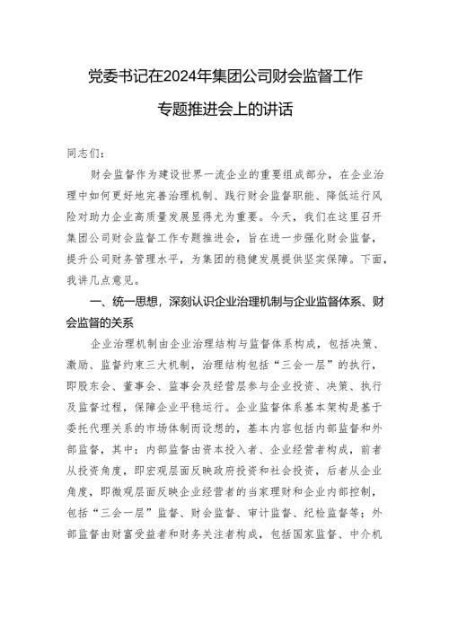 党委书记在2024年集团公司财会监督工作专题推进会上的讲话.docx