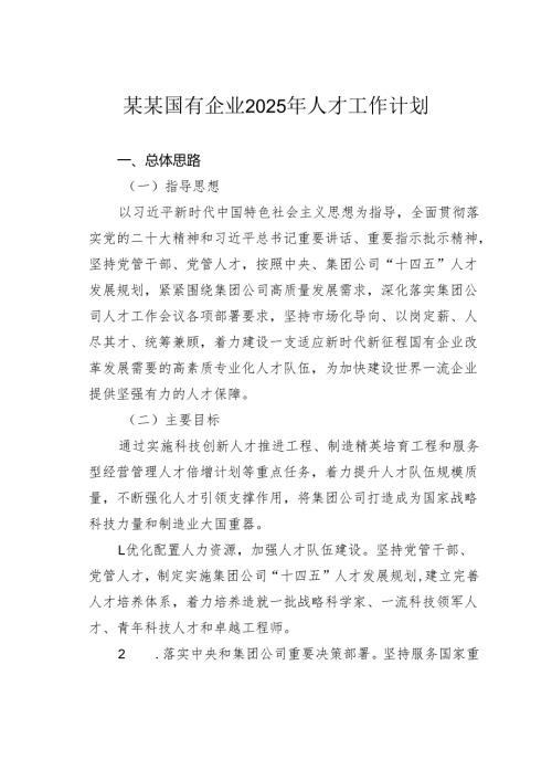 某某国有企业2025年人才工作计划.docx
