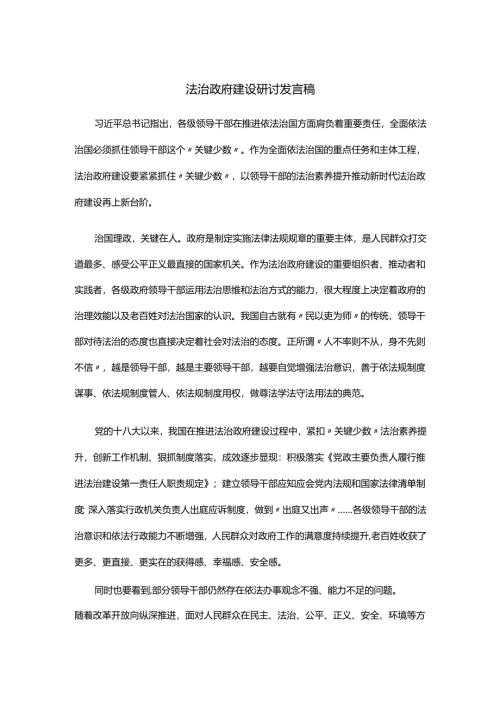 法治政府建设研讨发言稿.docx