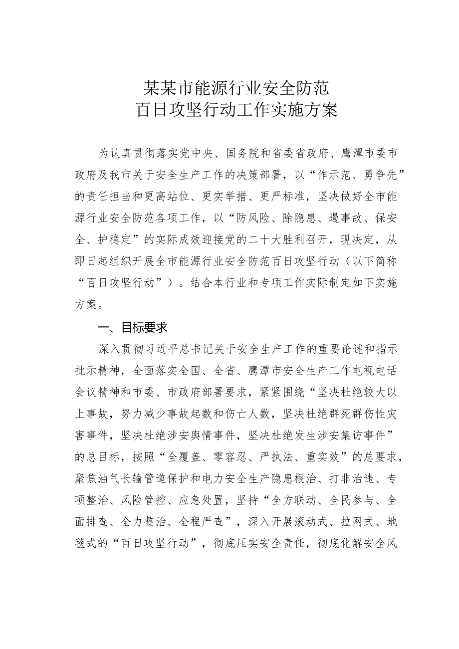 某某市能源行业安全防范百日攻坚行动工作实施方案.docx_第1页