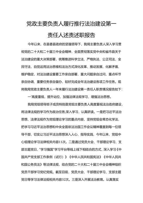党政主要负责人履行推行法治建设第一责任人述责述职报告.docx