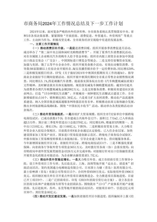 市商务局2024年工作情况总结及下一步工作计划.docx