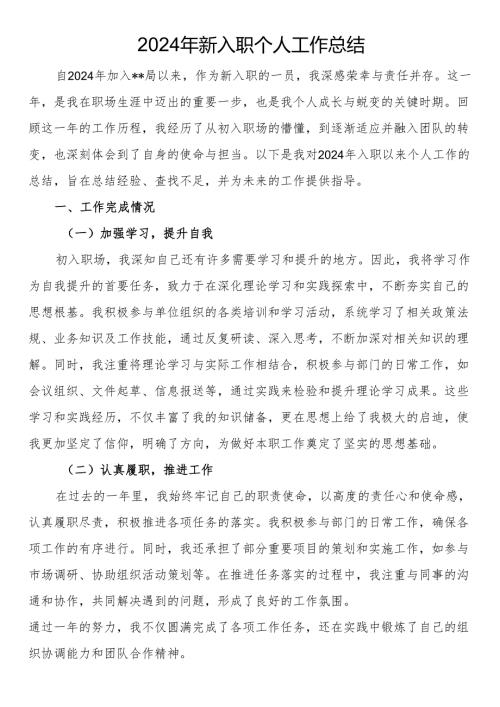 2024年新入职个人工作总结.docx