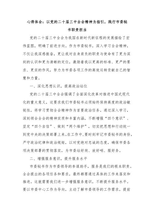 心得体会：以党的二十届三中全会精神为指引践行市委秘书职责担当.docx