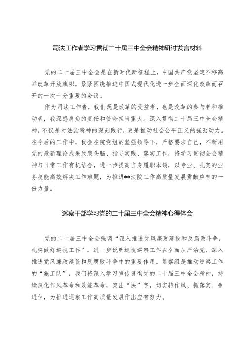 司法工作者学习贯彻二十届三中全会精神研讨发言材料（共七篇）.docx