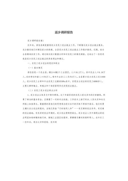 返乡调研报告.docx