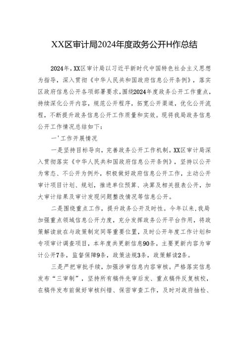 XX区审计局2024年度政务公开工作总结.docx