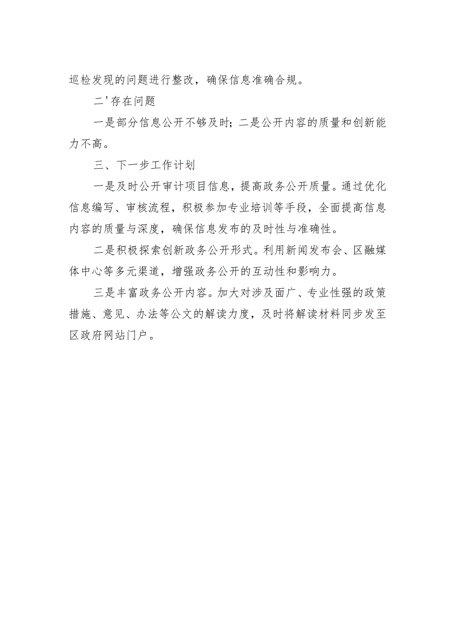 XX区审计局2024年度政务公开工作总结.docx_第2页