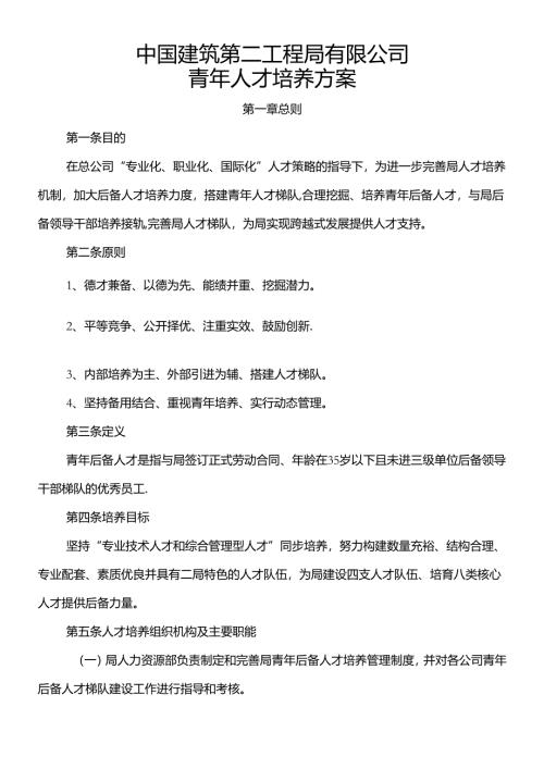 中建二局青年人才培养方案.docx
