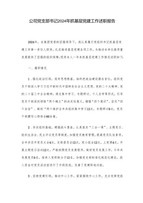 公司党支部书记2024年抓基层党建工作述职报告.docx
