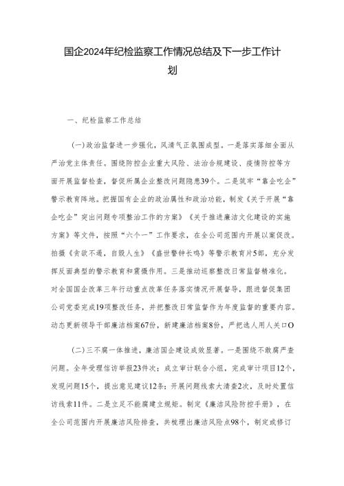 国企2024年纪检监察工作情况总结及下一步工作计划.docx