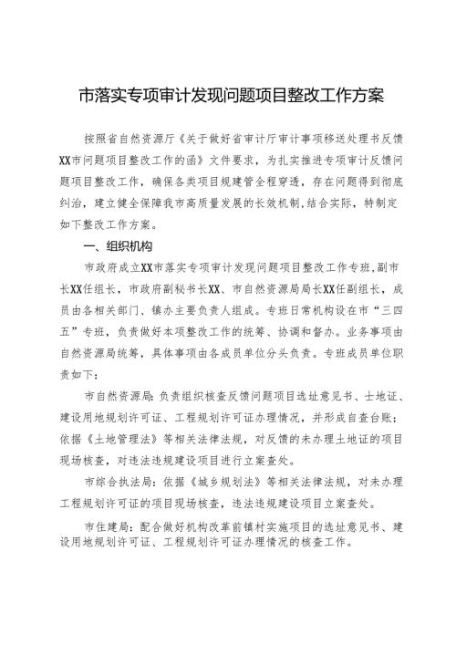 市落实专项审计发现问题项目整改工作方案.docx
