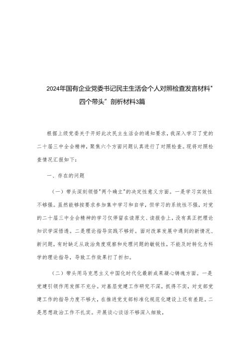 2024年国有企业党委书记民主生活会个人对照检查发言材料.docx