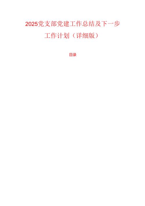 2025党支部党建工作总结及下一步工作计划（详细版）.docx