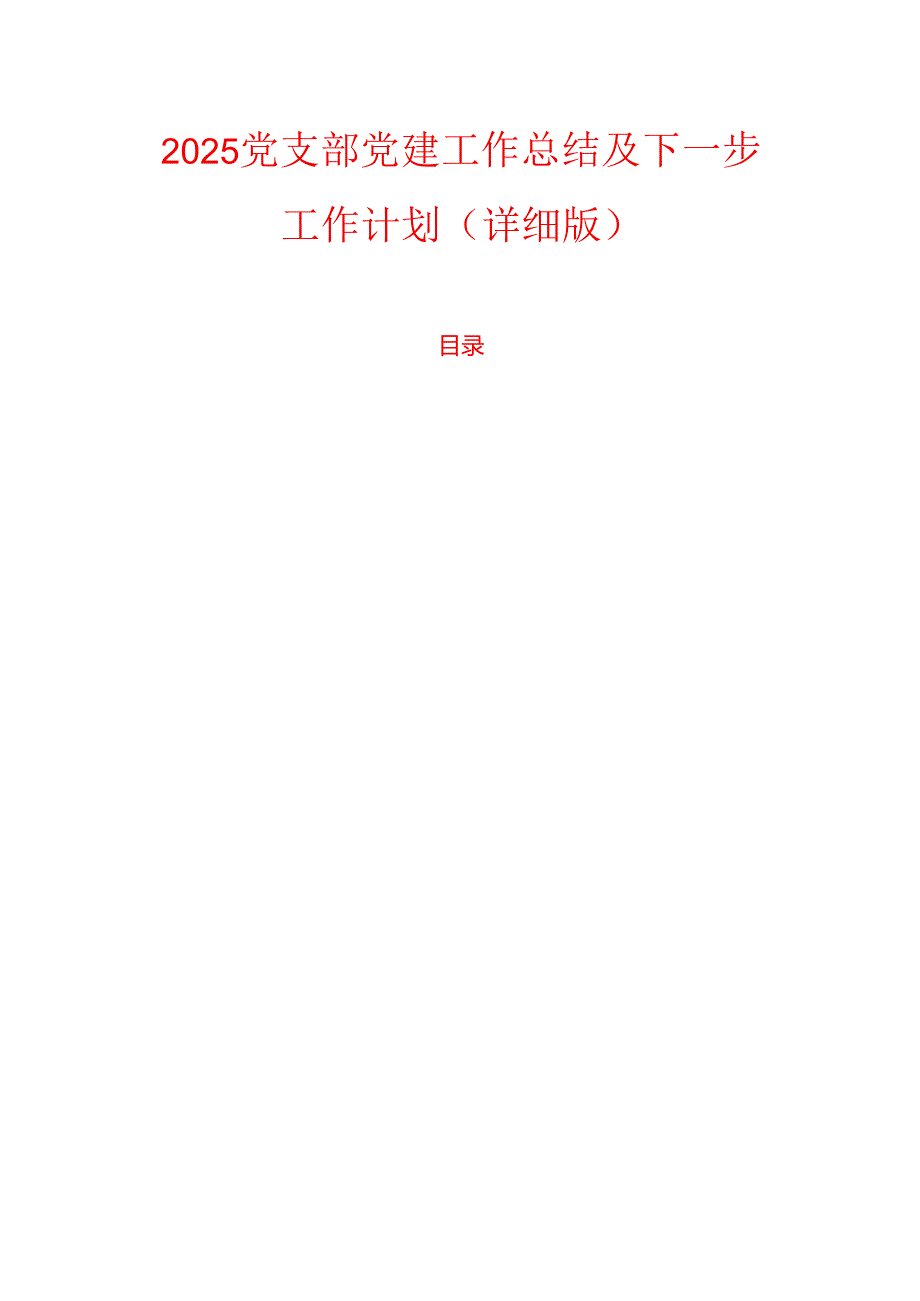 2025党支部党建工作总结及下一步工作计划（详细版）.docx_第1页