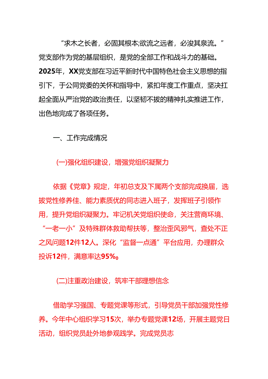 2025党支部党建工作总结及下一步工作计划（详细版）.docx_第2页