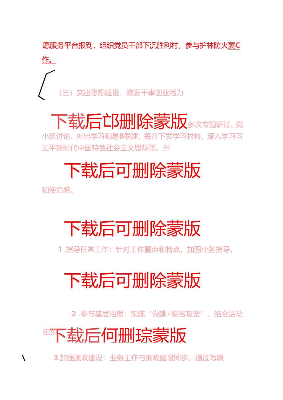 2025党支部党建工作总结及下一步工作计划（详细版）.docx_第3页