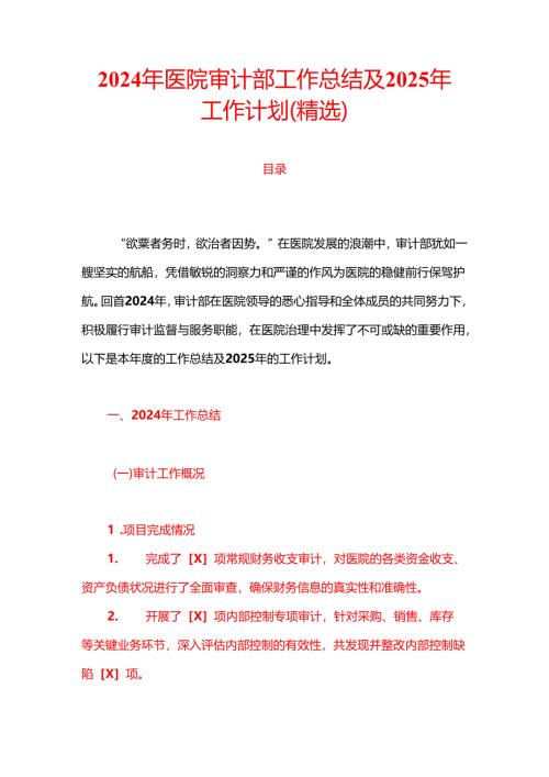 2024年医院审计部工作总结及2025年工作计划（精选）.docx