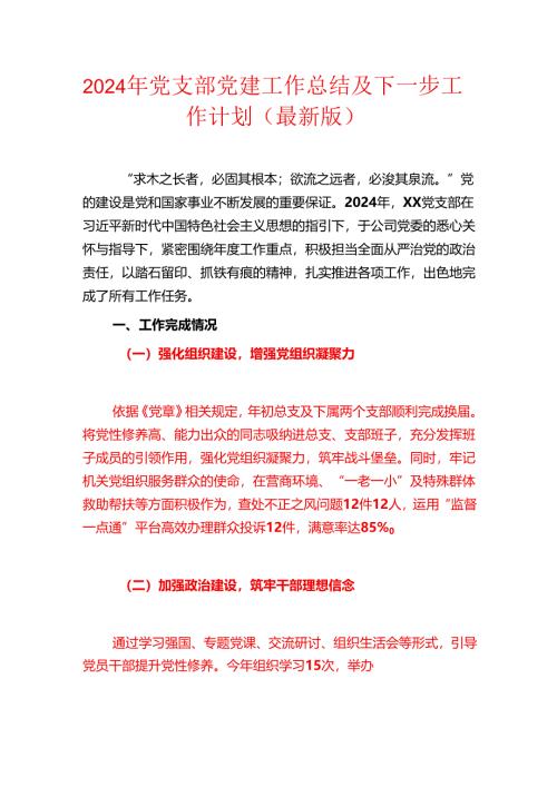2024年党支部党建工作总结及下一步工作计划（最新版）.docx