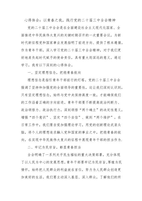心得体会：以青春之我践行党的二十届三中全会精神.docx