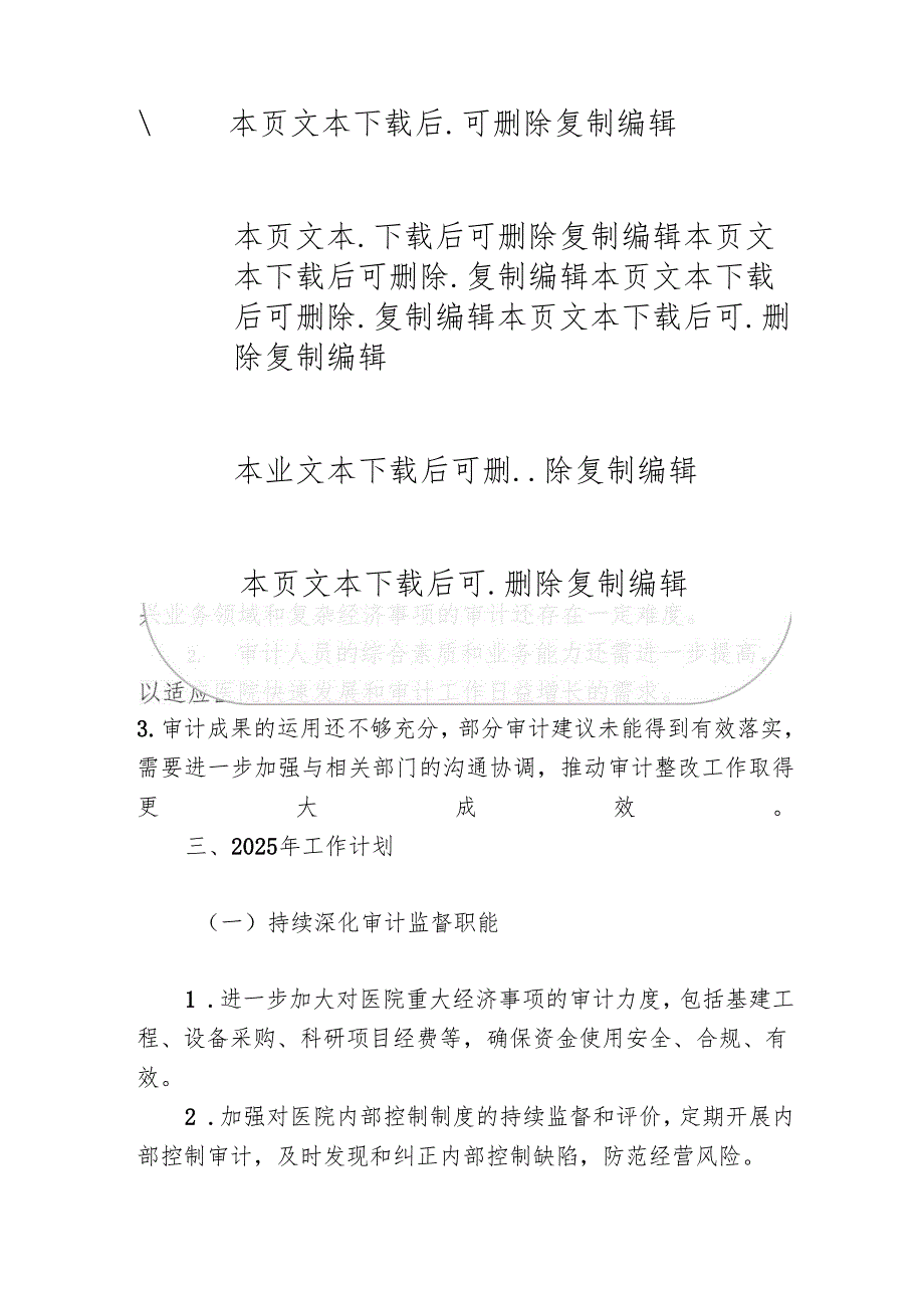 2024年医院审计工作总结及2025年工作计划（详细版）.docx_第3页