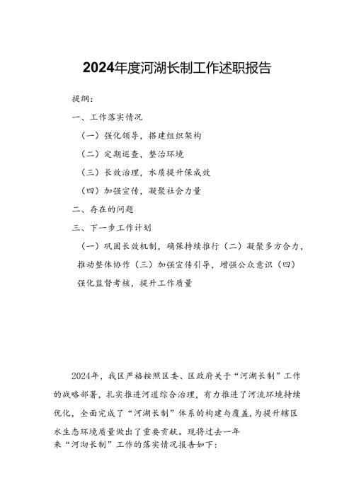 2024年度河湖长制工作述职报告.docx