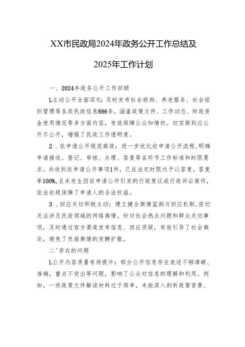 XX市民政局2024年政务公开工作总结及2025年工作计划.docx
