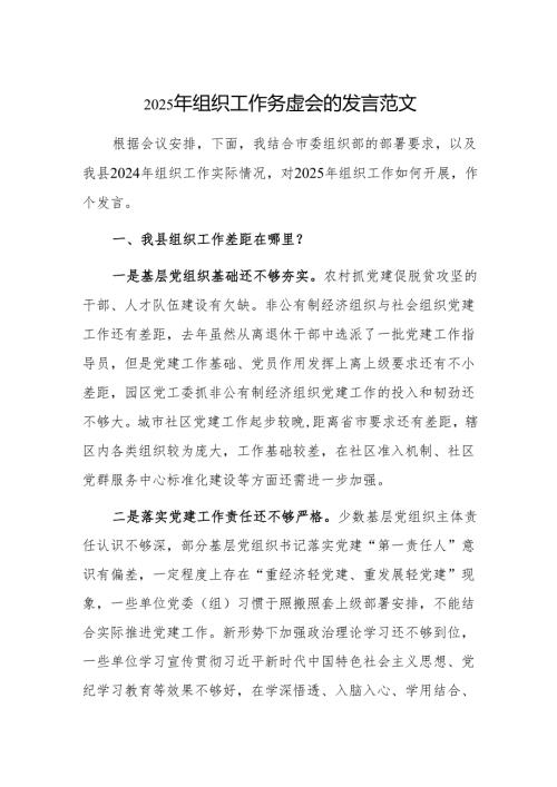 2025年组织工作务虚会的发言范文.docx