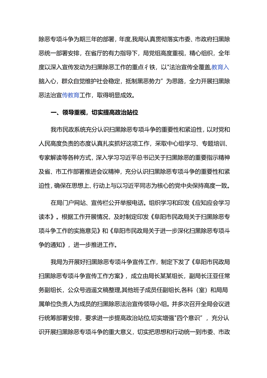 民政局扫黑除恶工作总结三篇.docx_第3页