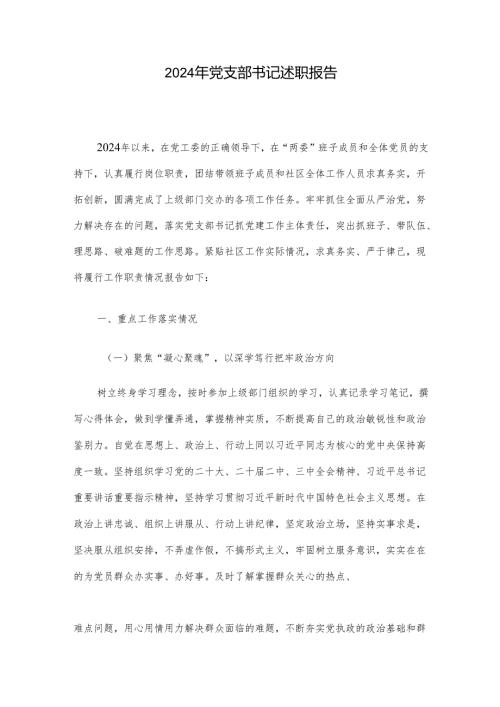 2024年党支部书记述职报告.docx
