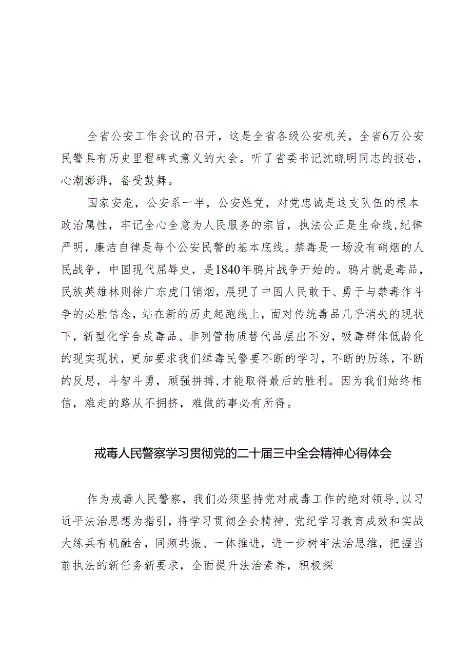 禁毒大队大队长学习党的二十届三中全会精神发言材料（共七篇）.docx_第1页