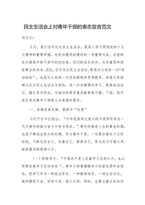 民主生活会上对青年干部的表态发言范文.docx
