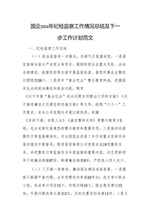 国企2024年纪检监察工作情况总结及下一步工作计划范文.docx