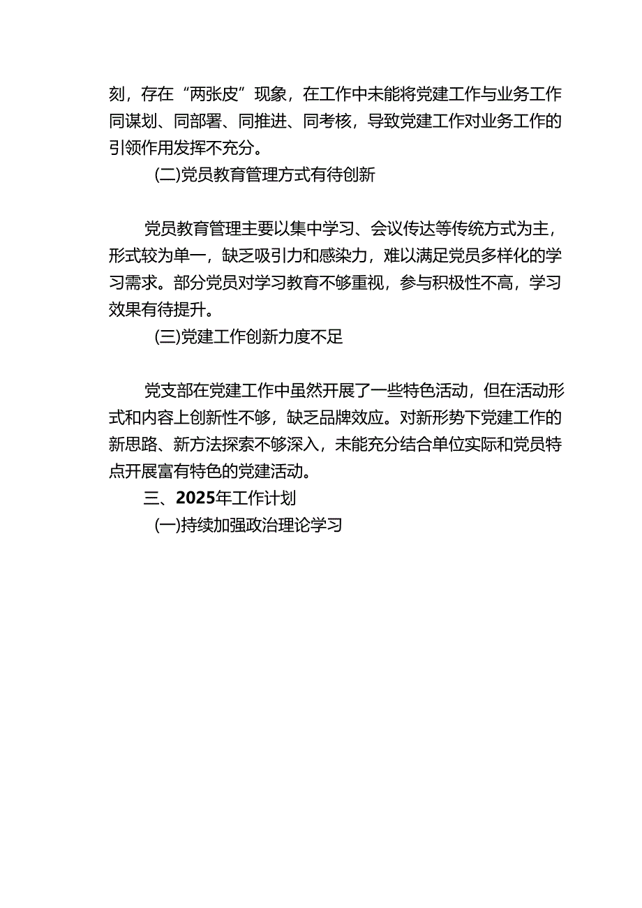 2024党支部党建工作总结暨2025年工作计划（完整版）.docx_第3页