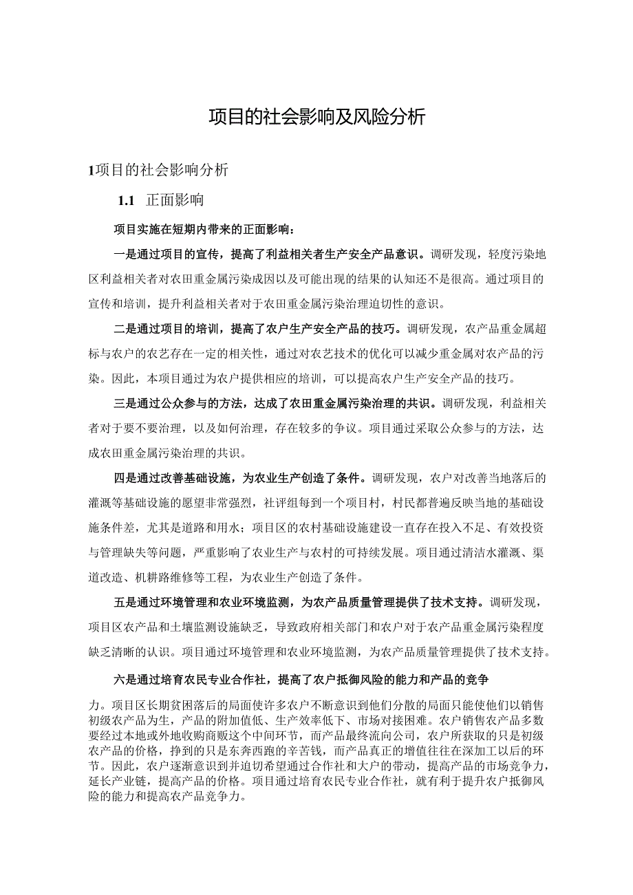 项目的社会影响及风险分析报告.docx_第1页