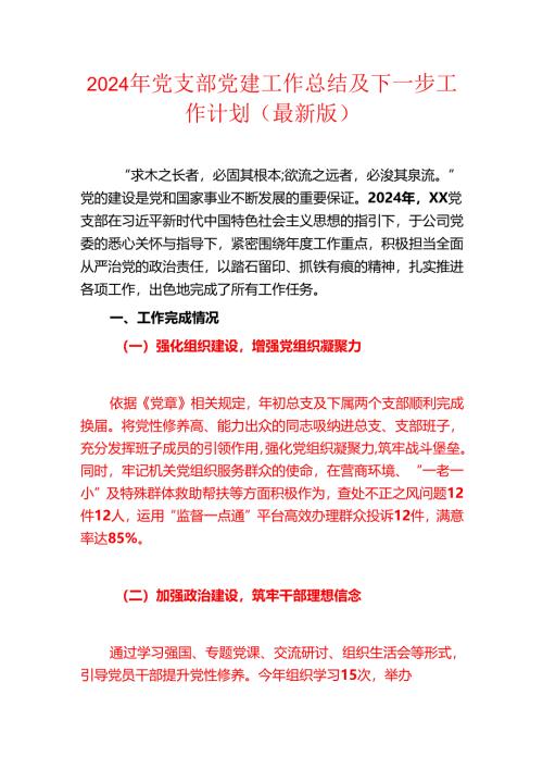2024年党支部党建工作总结及下一步工作计划（最新版）.docx