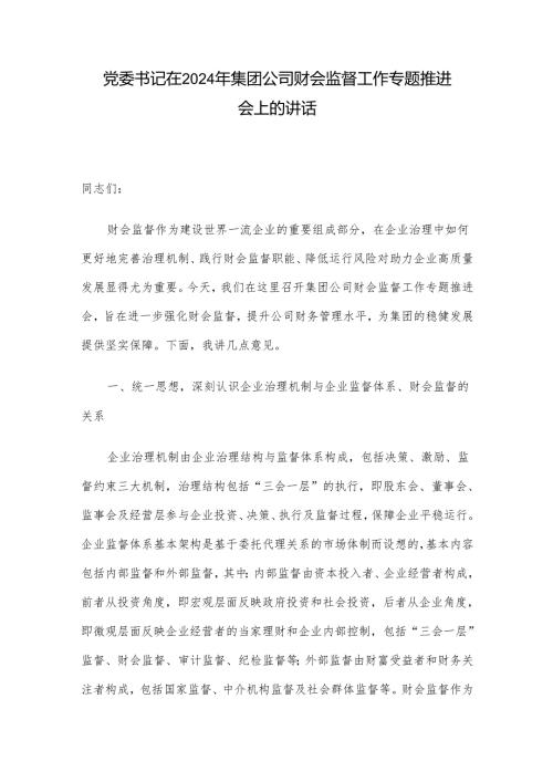 党委书记在2024年集团公司财会监督工作专题推进会上的讲话.docx
