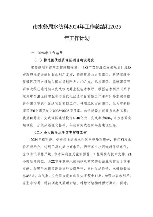市水务局水防科2024年工作总结和2025年工作计划.docx