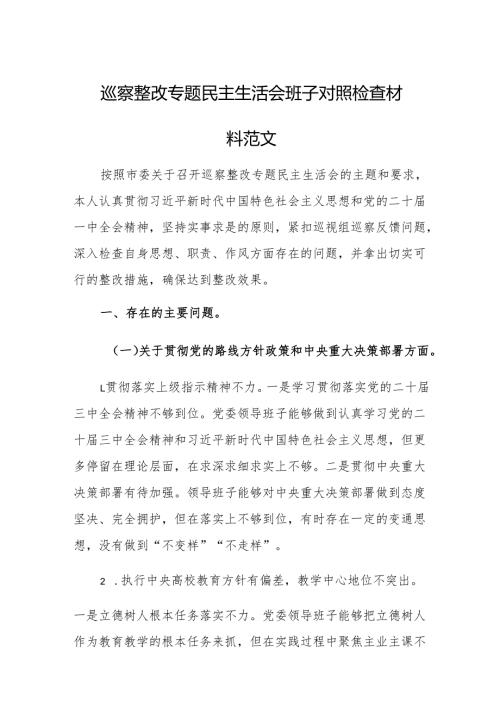 巡察整改专题民主生活会班子对照检查材料范文.docx